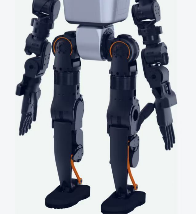 Custom Version - Dexterous Hand